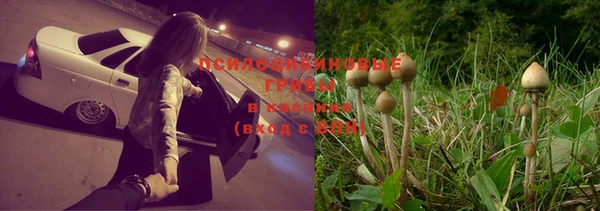 а пвп мука Костерёво