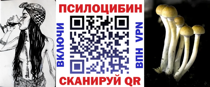 Купить  Электросталь  Псилоцибиновые грибы мицелий 